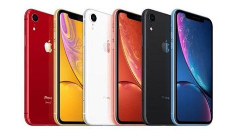 iPhone XR: Masih Layak Dibeli di Tahun Ini? Kupas Tuntas!
